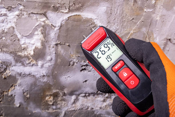 Best Mold Remediation  in West Wyoming, PA